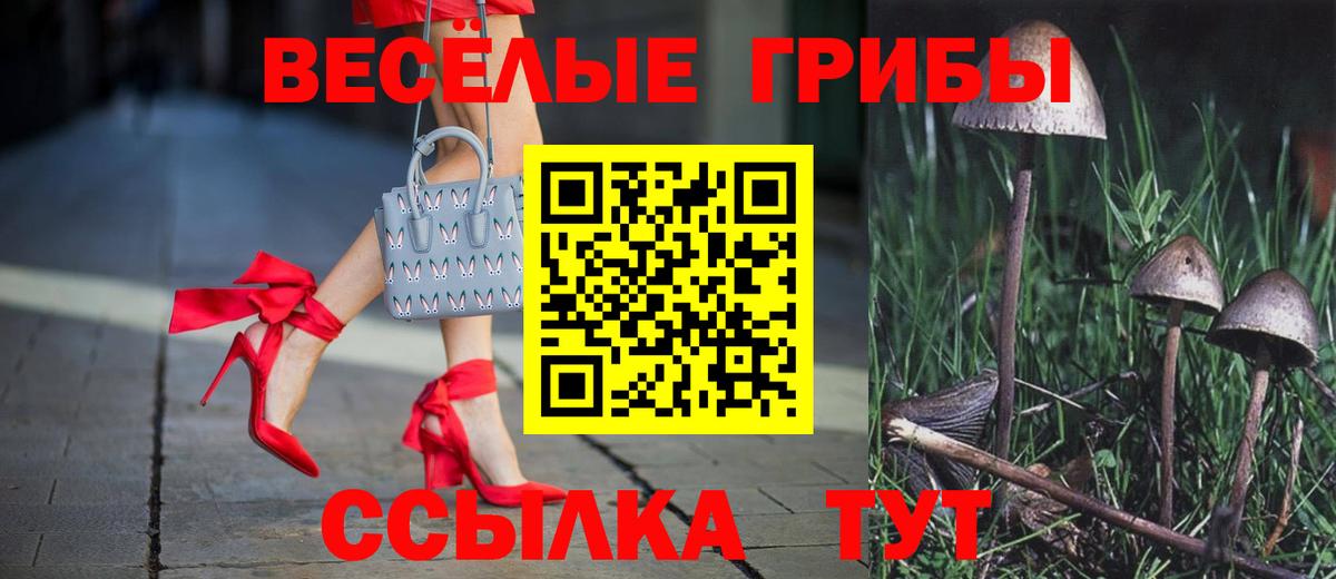 Красноармейск  Галлюциногенные грибы Psilocybine cubensis  Вход с VPN 